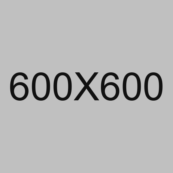 Gourmet Beef Burger with Wedges